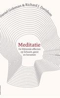 Meditatie - Daniël Goleman, Richard Davidson - ebook - thumbnail
