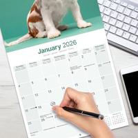 Cavalier King Charles Spaniel Kalender 2026 - thumbnail