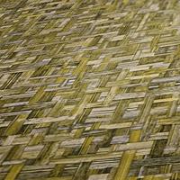 Architects Paper Jungle Chic geel behang | 377064 - thumbnail