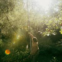 Fiskars OneClick Telescoop Steel | Maat L - 1080672 - thumbnail