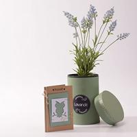 Vaessen Creative • love it paperclips pijlen goud 15st. - thumbnail