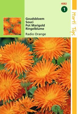 Zaden Calendula Goudsbloem Radio Orange Hortitops - Hortitops