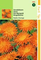 Zaden Calendula Goudsbloem Radio Orange Hortitops - Hortitops - thumbnail