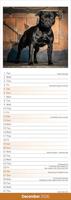 Staffordshire Bull Terrier Kalender 2026 Slimline - thumbnail