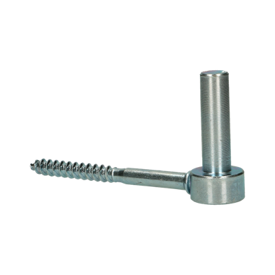 pgb-Europe FG | Schroefduim 16x100 Zn FG0258001161005