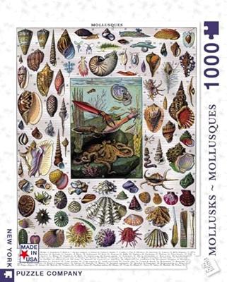 New York Puzzle Company Mollusken - 1000 stukjes