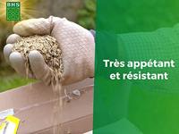 Zaden BHS 1 kg - thumbnail