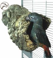 Back Zoo Nature Trunkhut kurk large met 2x schroefhouder 30 cm BackZooNature Gebr. de Boon - Gebr de boon - thumbnail