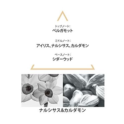 Uniseks Parfum Le Couvent des Minimes Singulieres Theria EDP 100 ml