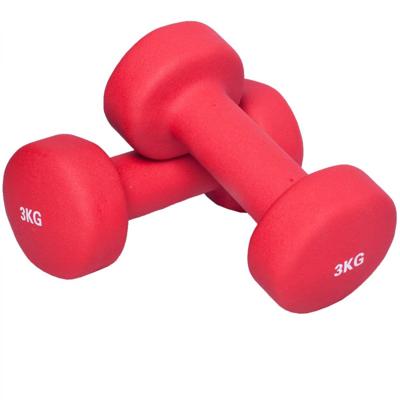 Vinyl Halterset 6 kg (2 x 3 kg) Vinyl Halterset 6 kg (2 x 3 kg)