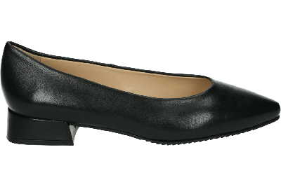 Peter Kaiser 24901 JOVA - alle