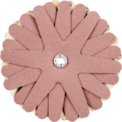 PFERD TOOLS 42732168 Schuursterren Diameter 100 mm 10 stuk(s)