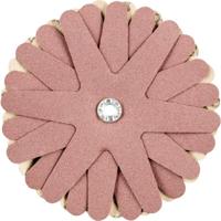 PFERD TOOLS 42732168 Schuursterren Diameter 100 mm 10 stuk(s) - thumbnail