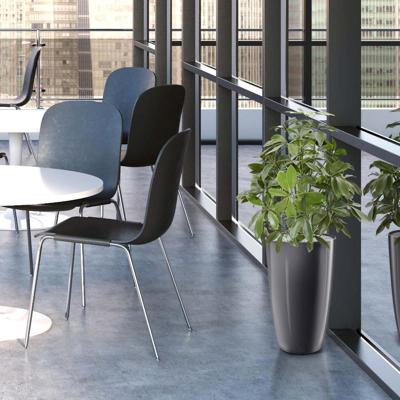 Schefflera kunstplant 50cm - UV bestendig