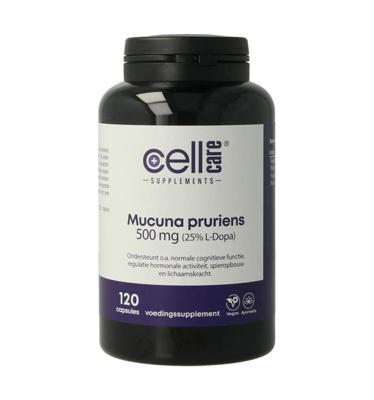 Mucuna pruriens