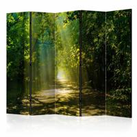 Vouwscherm / Kamerscherm - Zonlicht door de bomen, bos 225x172cm , gemonteerd geleverd, dubbelzijdig geprint - thumbnail