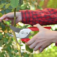 WOLF-Garten 73AFA008650 RR-EN Tuinschaar Bypass - thumbnail