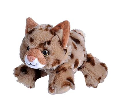 Wild Republic knuffel panter junior 18 cm pluche bruin
