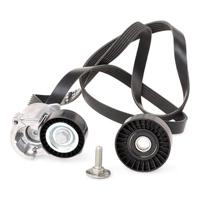 Multiriem Set Citro?n 529018410 - thumbnail