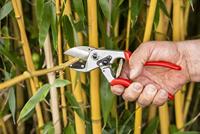 Felco FELCO 31 Tuinschaar Amboss - thumbnail