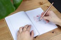 Schneider S-143806 Giftbox Callissima Vulpen Abrikoos - thumbnail