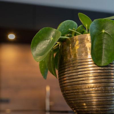 Pot Fabio brass antique D13 H15