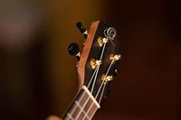 Ortega Ebony Series RUEB-CC concert ukelele met gigbag - thumbnail