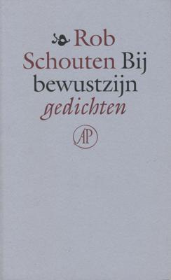 Bij bewustzijn - Rob Schouten - ebook