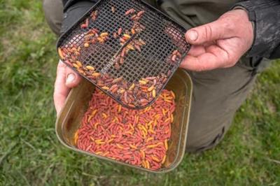 Korum Maggot Tub And Riddle 2Pt. 1.2L