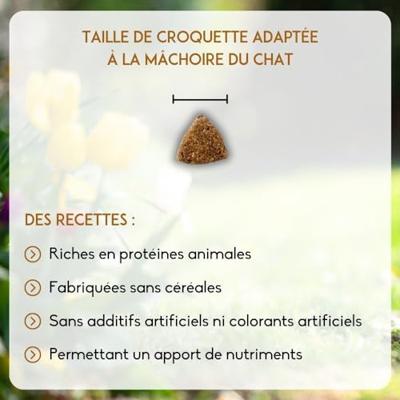 Nutrivet Inne Cat Adult kip kattenvoer 2 x 6 kg - thumbnail