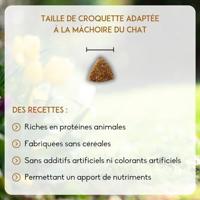 Nutrivet Inne Cat Adult kip kattenvoer 6 kg - thumbnail