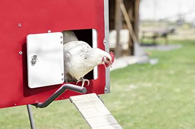 Abi Mobilecoop houten kippenhok