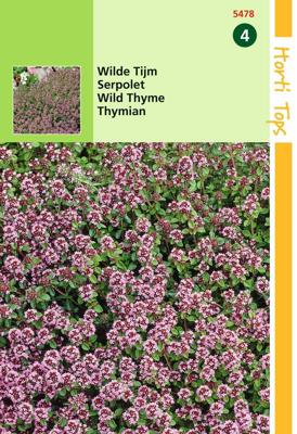 Zaden Thymus Wilde Tijm Purperrood Hortitops - Hortitops Zaden Thymus Wilde Tijm Purperrood Hortitops - Hortitops