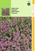Zaden Thymus Wilde Tijm Purperrood Hortitops - Hortitops - thumbnail