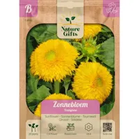 Zonnebloem teddybear 20st - thumbnail