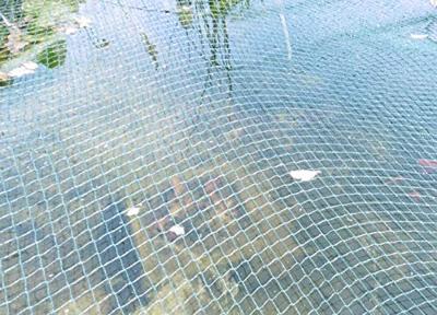 Siena Garden 22250-2-36 Vijvernet