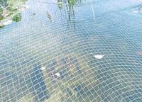 Siena Garden 22250-2-36 Vijvernet - thumbnail