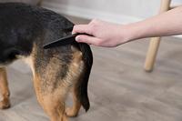 Trixie vlooien en stofkam - thumbnail