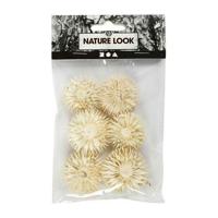 Creativ Company Gedroogde bloemen - thumbnail