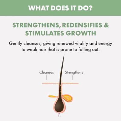 Alfaparf Semi Di Lino Scalp Renew Energizing Shampoo 250 ml