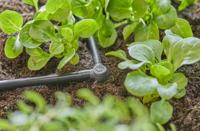 Gardena Micro Drip Systeem L-stuk 4,6 mm (3/16") - thumbnail