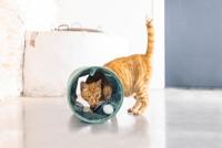 Designed by Lotte kattentunnel Cylla groen - thumbnail