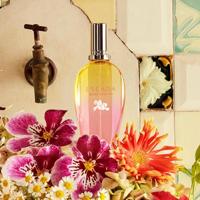 Escada Brisa Cubana Eau De Toilette Spray 100 ml Dames - thumbnail