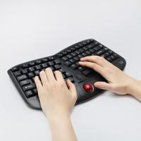 Adesso Tru-Form Media 3150 toetsenbord RF Draadloos QWERTY Engels, Amerikaans Engels Zwart - thumbnail