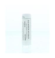 Homeoden Heel Nitricum acidum D12 6 Gram - thumbnail