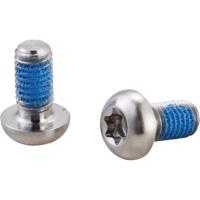 Elvedes rotorboutjes torx rvs (100) elv2015157 - thumbnail