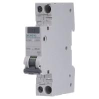 Siemens 5SV13166KK13 Aardlekschakelaar/zekeringautomaat 2-polig 13 A 0.03 A 230 V