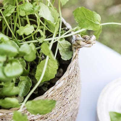 Society of Lifestyle 212470104 serveerschaal Society of Lifestyle 212470104 serveerschaal