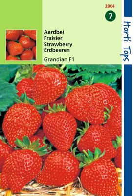 Zaden Aardbei Grandian F1 Hortitops - Hortitops