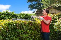 Ryobi RHT6760RL | Heggenschaar | 60 cm | 660 W - 5133003647 - thumbnail